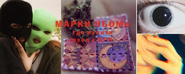 прущие грибы Каменск-Шахтинский