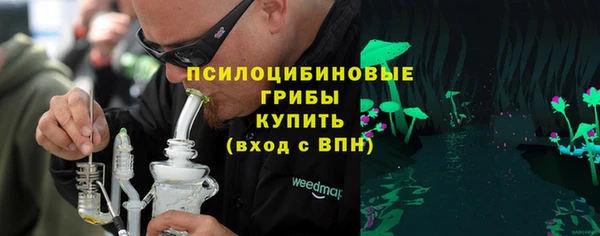 прущие грибы Каменск-Шахтинский