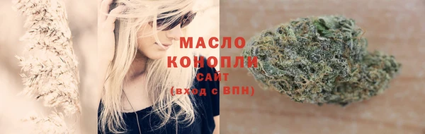 прущие грибы Каменск-Шахтинский