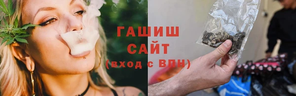 амф Каменка