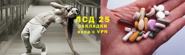 амф Каменка