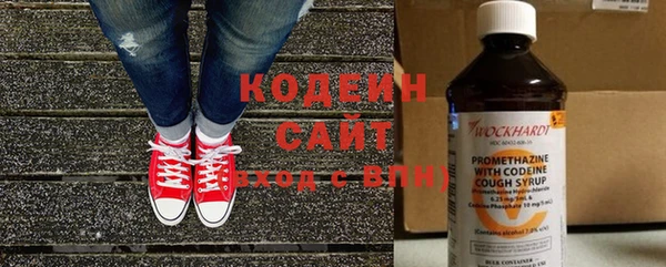 прущие грибы Каменск-Шахтинский