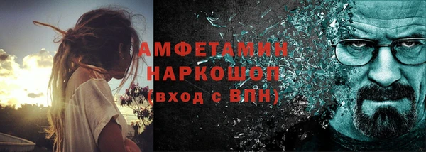 стаф Касимов