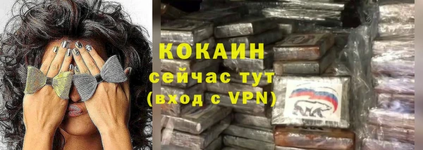 стаф Касимов