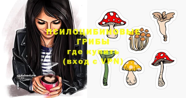 тгк Инта