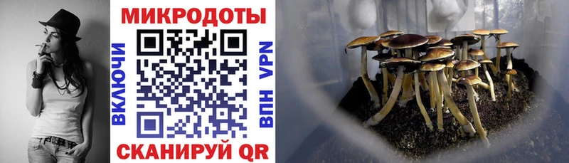 Псилоцибиновые грибы прущие грибы мега как войти Котлас