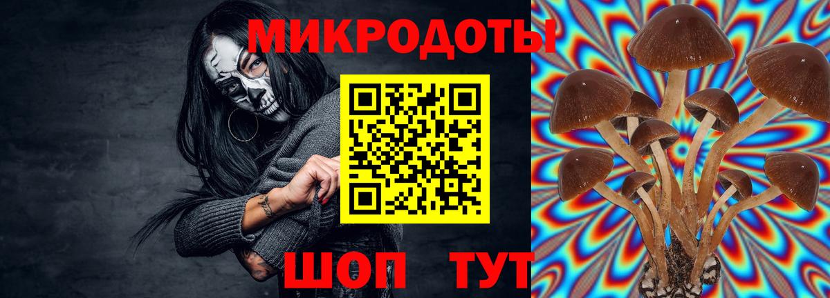 Галлюциногенные грибы Cubensis Котлас